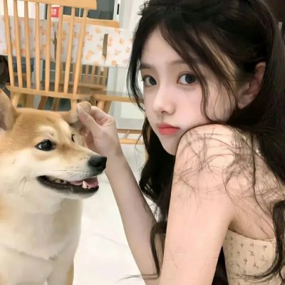 狐狸女士第二季